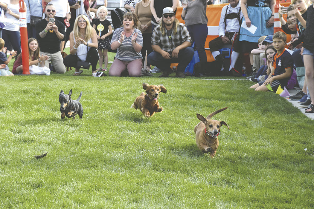 Running Wieners